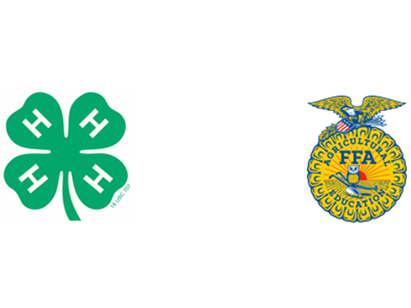 Logo for 2025 Chouteau County 4-H and FFA Fair