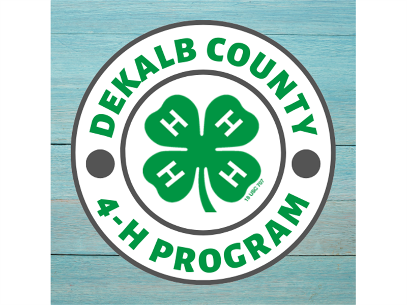 Logo for 2025 DeKalb County Summer Judging