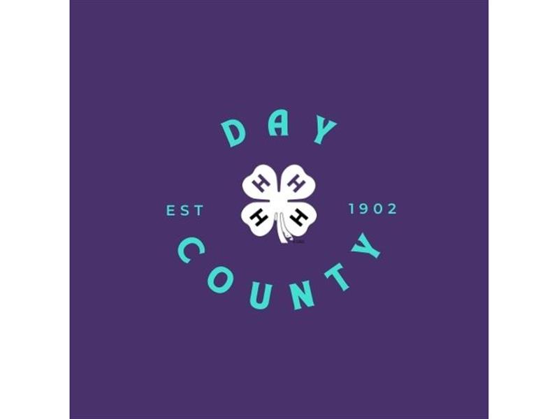 Logo for 2025 Day County Fair